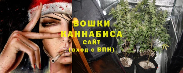 стафф Снежинск