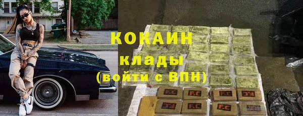 стафф Снежинск