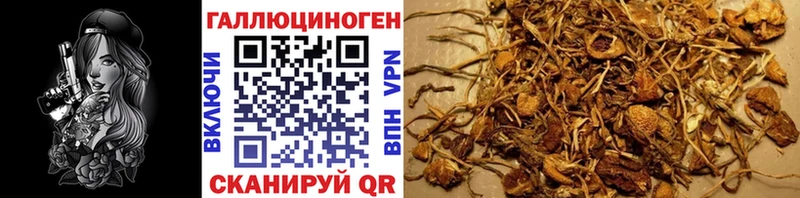 Галлюциногенные грибы MAGIC MUSHROOMS цена наркотик Нязепетровск